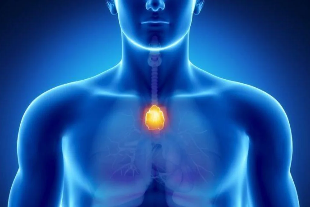 What Is Thymic Tumor?
