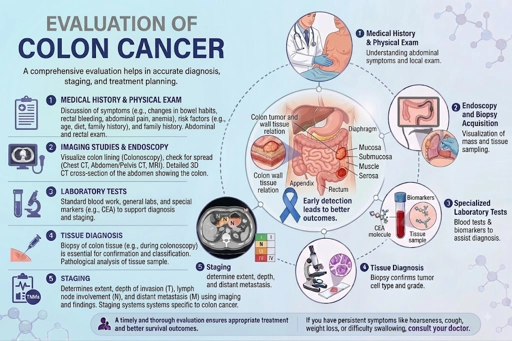 Evaluation of Colon Cancer