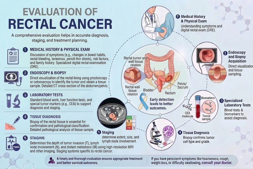 Evaluation of Rectal Cancer
