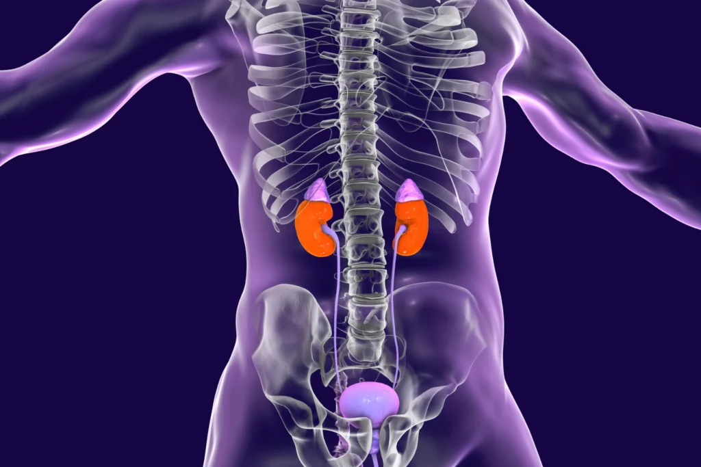 What Is Adrenal Tumors?